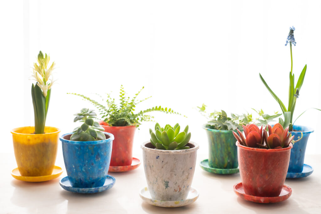 室内用植木鉢