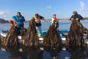 Sachiumi Heroes: A Seaweed-Powered Revival from the Ocean Floor