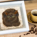 Coffee Grounds Art: Giving New Life to the Morning Brew
