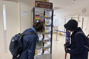 SDGs Locker: Extending the Life of Food Through Shared Urban Infrastructure