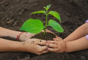 損害保険ジャパン、3社と連携し「よこはま動物園ズーラシア」における動物糞の肥料化実証を実施