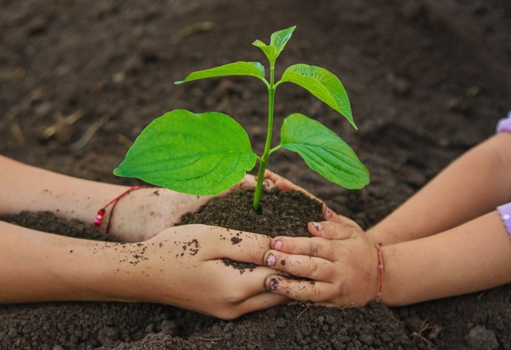 損害保険ジャパン、3社と連携し「よこはま動物園ズーラシア」における動物糞の肥料化実証を実施