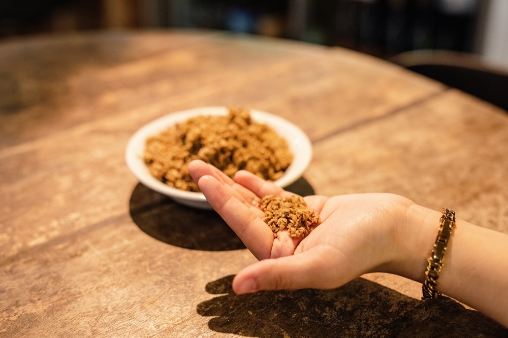 横浜ビールで回収したモルト粕