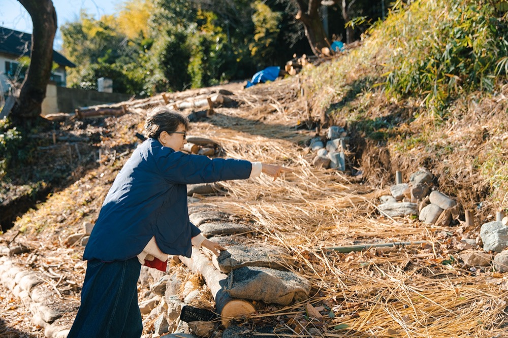 The hillside behind JIKE STUDIO where the regeneration workshop took place