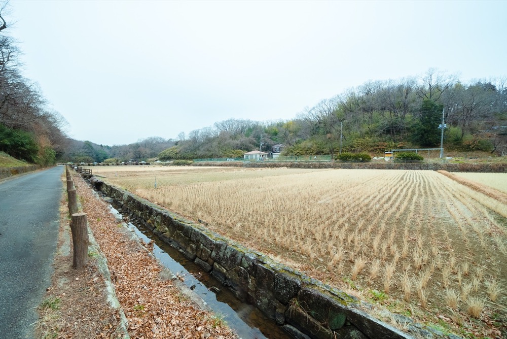 2月の寺家の様子